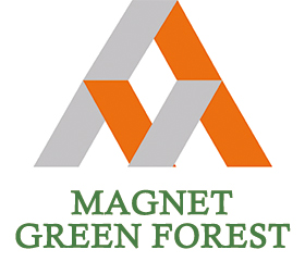 Green Forest Magnet